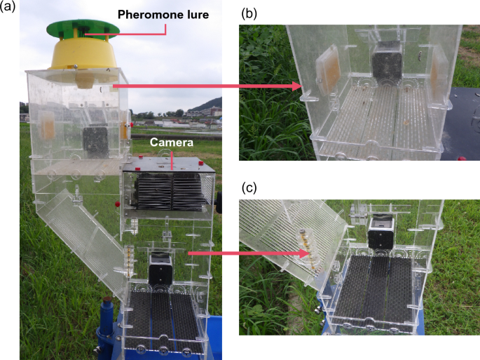 Digital Pheromone Trap